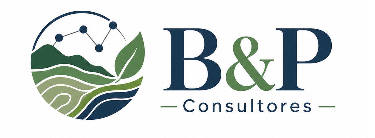 B&P Consultores